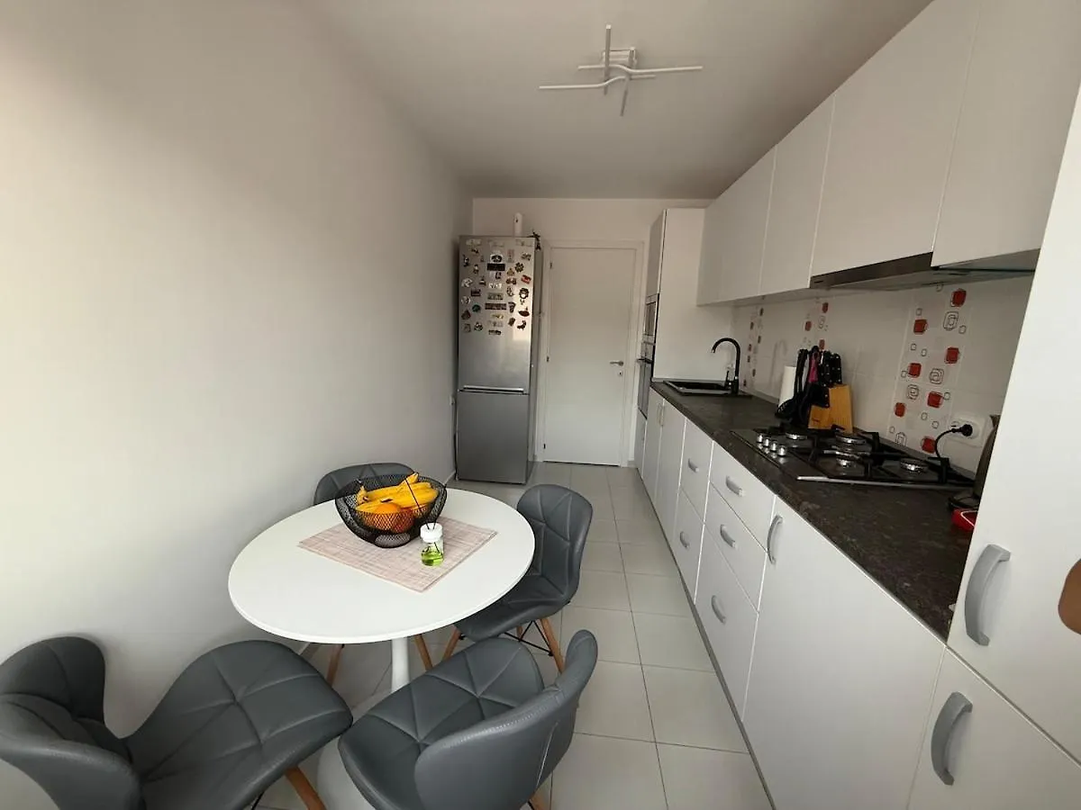 Spacious Serenity Apartament Bükreş Romanya