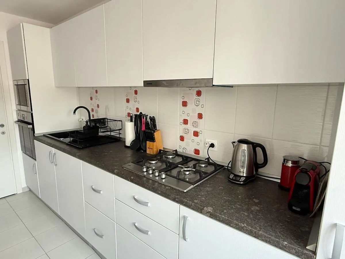 Spacious Serenity Apartament Bükreş