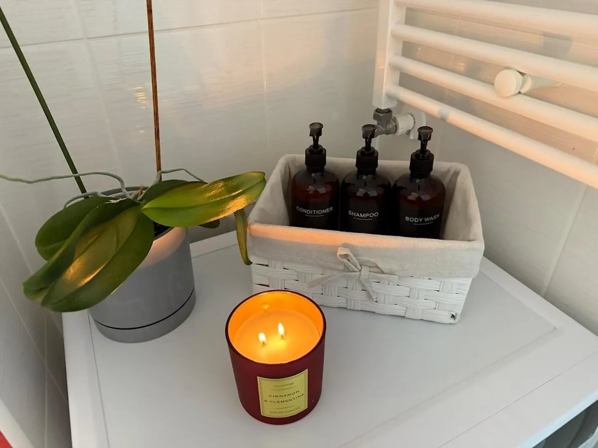 Spacious Serenity Apartament Bükreş Daire